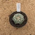 Astrophytum superkabuto star shape A248 (Pote 9) - comprar online