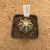 Astrophytum asterias ooibo A395 (Pote 10) - comprar online