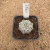 Astrophytum yamamoto A321 (Pote 10) - comprar online