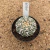 Astrophytum superkabuto v type A407 (Pote 9) - comprar online
