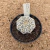 Astrophytum superkabuto v type A413 (Pote 9) - comprar online