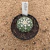 Astrophytum atrerias v type A427 (Pote 9) - comprar online