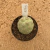 Tephrocactus geometricus A595 (Pote 9) - comprar online