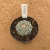 Astrophytum superkabuto A709 (Pote 9) - comprar online