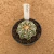 Astrophytum superkabuto star shape A707 (Pote 9) - comprar online