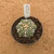 Astrophytum superkabuto v type A715 (Pote 9) - comprar online