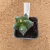 Astrophytum myriostigma kikko enxertado A633 (Pote 10) - comprar online