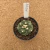 Astrophytum asterias kikko A888 (Pote 9) - comprar online