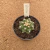 Astrophytum asterias kikko A854 (Pote 9) - comprar online