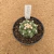 Astrophytum asterias kikko A857(Pote 9) - comprar online