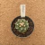 Astrophytum asterias kikko A858 (Pote 9) - comprar online