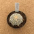 Astrophytum superkabuto v type star shape A882 (Pote 9) - comprar online