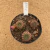 Trio de Sulcorebutia rauschii A833 (Pote 11) - comprar online