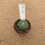 Astrophytum asterias kikko muscle A911 (Pote 6) - comprar online