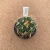 Stenocactus lloydii enxertado A935 (Pote 9) - comprar online