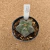 Astrophytum myriostigma kikko B30 (Pote 9) - comprar online