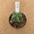 Astrophytum myriostigma enxertado B178 (Pote 9) - comprar online