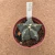 Astrophytum myriostigma kikko B137 (Pote 11) - comprar online
