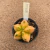 Astrophytum myriostigma kohyo enxertado B344 (Pote 9) - comprar online