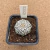 Astrophytum yamamoto B595 Pote 10) - comprar online