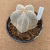 Matriz de Astrophytum onzuka v type B577 (Pote 15) - comprar online