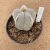 Matriz de Astrophytum onzuka v type B572 (Pote 15) - comprar online