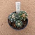 Kit astrophytum asterias B619 (Pote 9) - comprar online