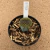 Gymnocalycium thornless cristata enxertado B603 (Pote 11) - comprar online