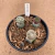 Trio de mix de cactos enxertados B670 (Pote 15) - comprar online