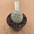 Tephrocactus geometricus B655 (Pote 9) - comprar online