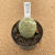 Tephrocactus geometricus B662 (Pote 9) - comprar online