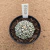 Astrophytum superkabuto v type B891 (Pote 9) - comprar online