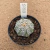 Astrophytum superkabuto v type B803 (Pote 9) - comprar online