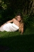 Vestido Faye