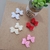 Mini Par De Laçinho De Velcro Diversas Cores