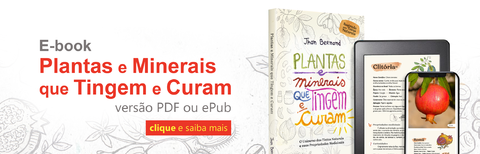 Carrusel Criativa Terra