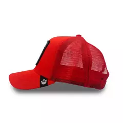 GORRA GOORIN BROS TRASH en internet