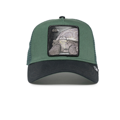 O.G TORTUGA GREEN