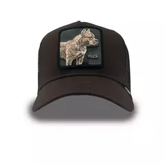 GORRA GOORIN BROS PITBULL FLEX CAFE