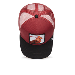 HUSTLE PAJARO RED en internet
