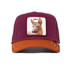 GORRA GOORIN BROS XOLO PERRO DROP BORDÓ