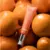 Vitamina C Nano Vit C20% 30g - Extratos da Terra - D&D Estética e Saúde