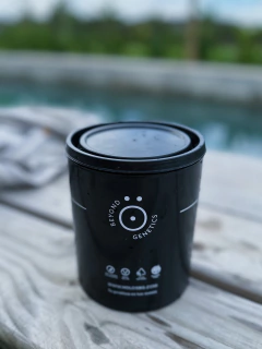 Sal de Epsom de Eucalyptus, Romero y Pino - comprar online