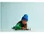 LEGO City Motocicleta dos Bombeiros 60410 - comprar online