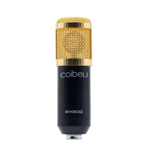 Kit Microfone Coibeu Bm800 + Braço Articulado