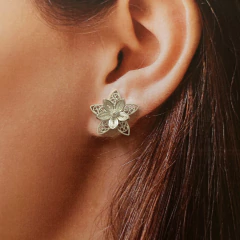 Topos margarita doble - comprar en línea