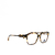Armação Gap Havana - VGP235 53X15-140 - comprar online