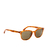 OCULOS DE SOL GAP AMBER HAVANA - SGP015 AMBER HAVANA 53X21 145 - comprar online