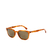 OCULOS DE SOL GAP AMBER HAVANA - SGP015 AMBER HAVANA 53X21 145 na internet