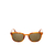 OCULOS DE SOL GAP AMBER HAVANA - SGP015 AMBER HAVANA 53X21 145